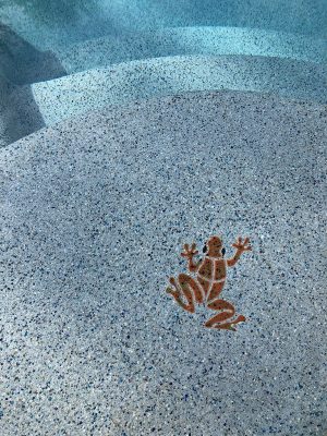 Small Frog Pool Mosaic