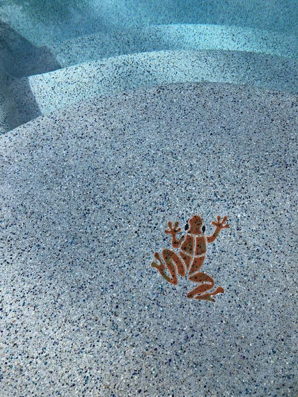 Small Frog Pool Mosaic
