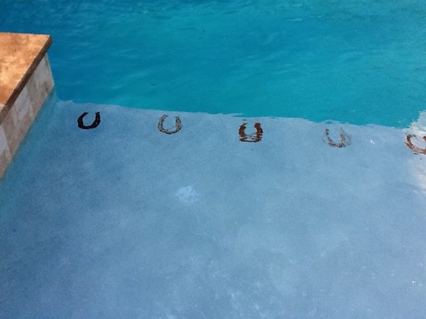 Horseshoe Pool Mosaic