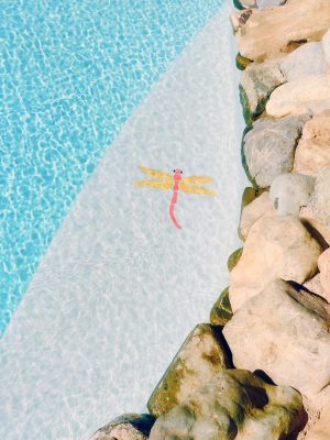 Dragonfly Pool Mosaic