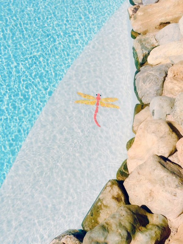 Dragonfly Pool Mosaic