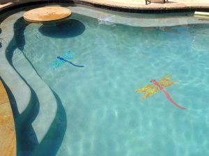 Dragonfly Pool Mosaic