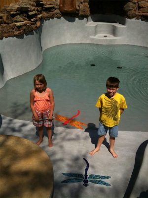 Dragonfly Pool Mosaic