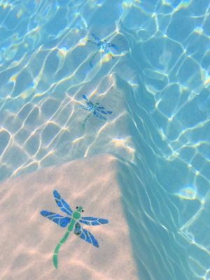 Dragonfly Pool Mosaic