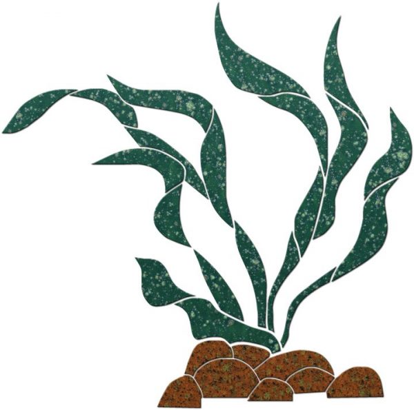 Flowing Seaweed with Rocks Pool Mosaic