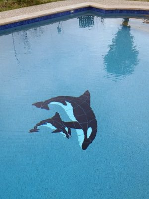 Orca & Baby Pool Mosaic