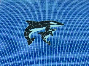 Orca & Baby Pool Mosaic