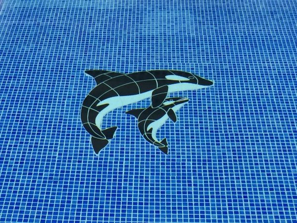 Orca & Baby Pool Mosaic