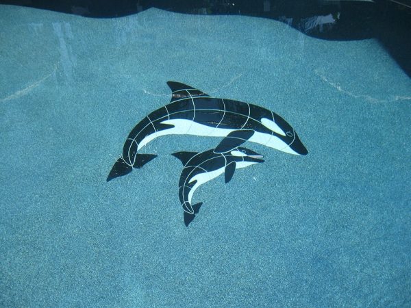Orca & Baby Pool Mosaic