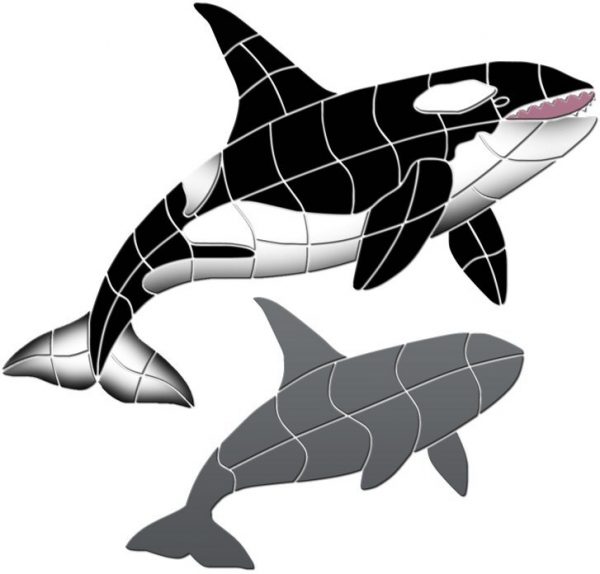 Orca 2 Pool Mosaic