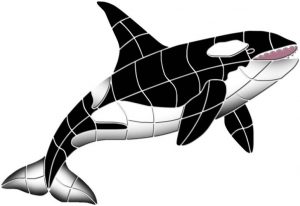 orca 2