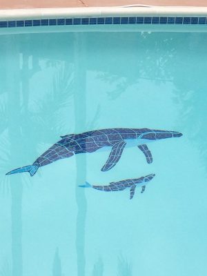 Humpback Whale & Baby Pool Mosaic