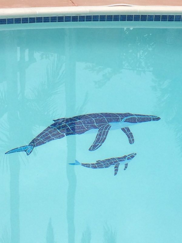Humpback Whale & Baby Pool Mosaic