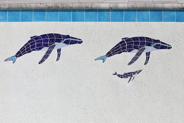 Humpback Whale & Baby Pool Mosaic