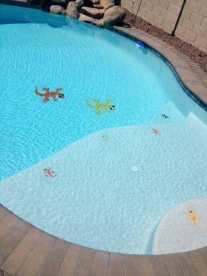Large Gecko Pool Mosaic