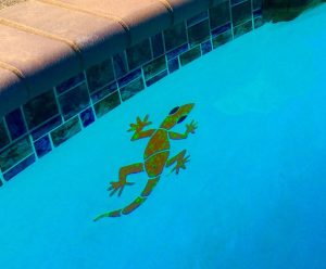 Large Gecko Pool Mosaic