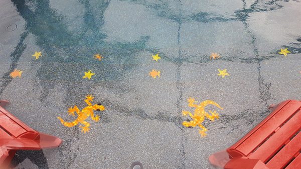 Large Gecko Pool Mosaic