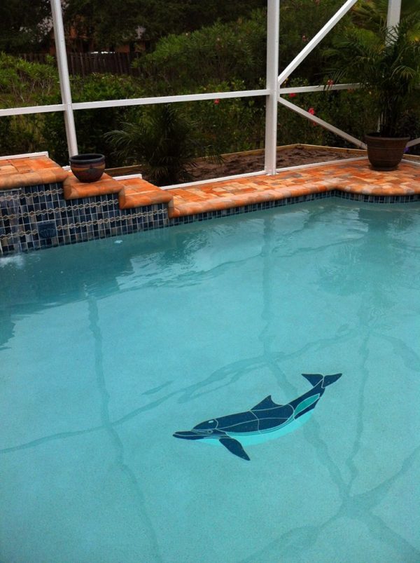 Crystal Up Swimming Dolphin Pool Mosaic