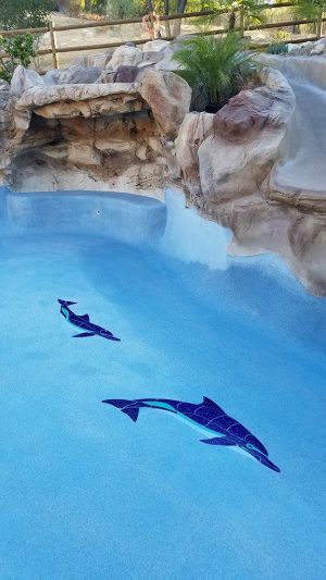 Crystal Level Swimming Dolphin Pool Mosaic