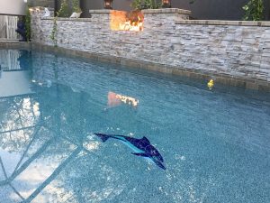 Crystal Level Swimming Dolphin Pool Mosaic