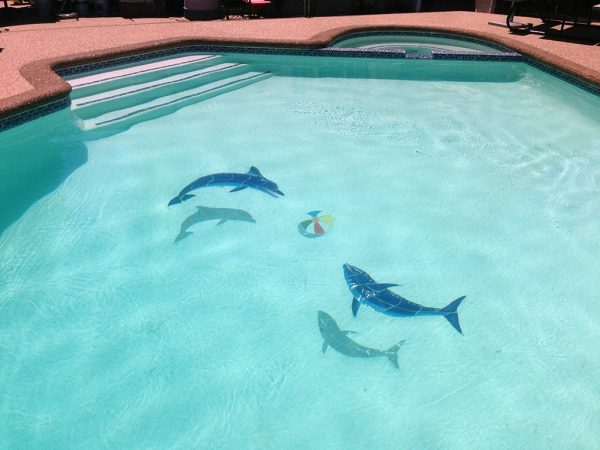 Up Swimming Dolphin Pool Mosaic