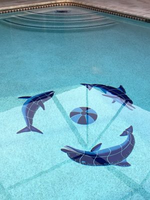 playing dolphins 2