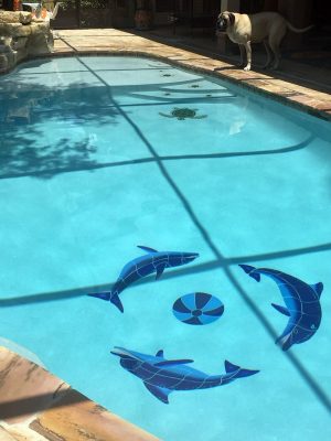 Playing Dolphins Pool Mosaic