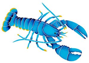 Blue Lobster