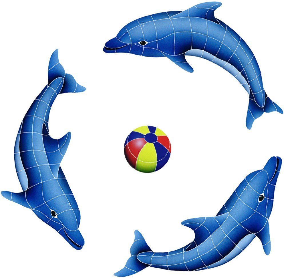 Dolphins